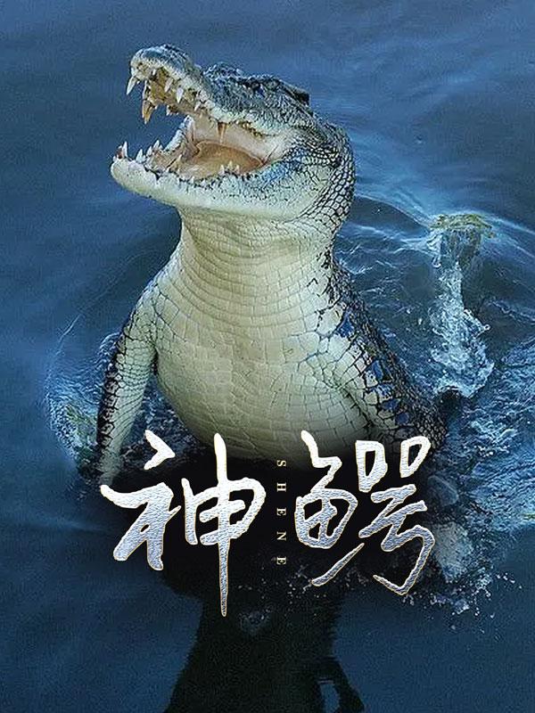 非凡小少爷