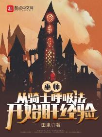 巫师:从骑士唿吸法开始肝经验