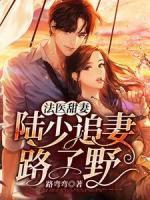 秦如意陆靳南