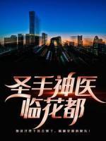 叶轩苏芸儿